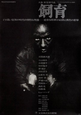 饲育