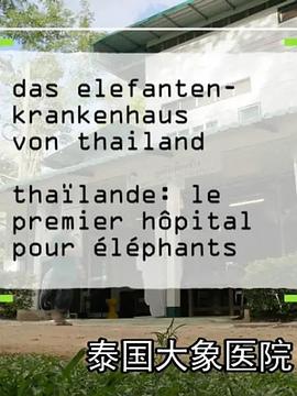 泰语版大象医院