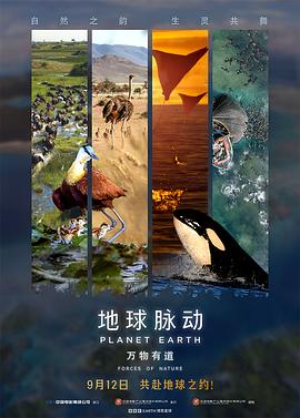 地球脉动:万物有道